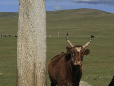 Deer Stone with Cow