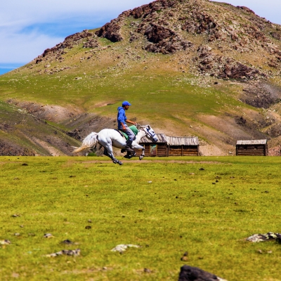 Horse Trekking - Horse galloping with rider