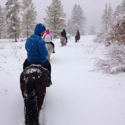 Horse Trekking - Riding in the falling snow