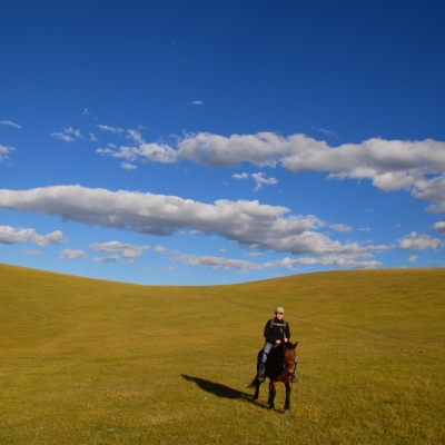 Horse Trekking - Horse and rider on bare hills