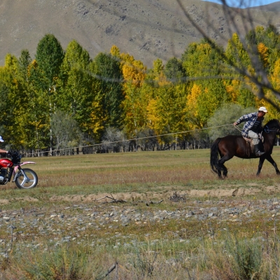 Horse Trekking - Horse starting a motorcycle